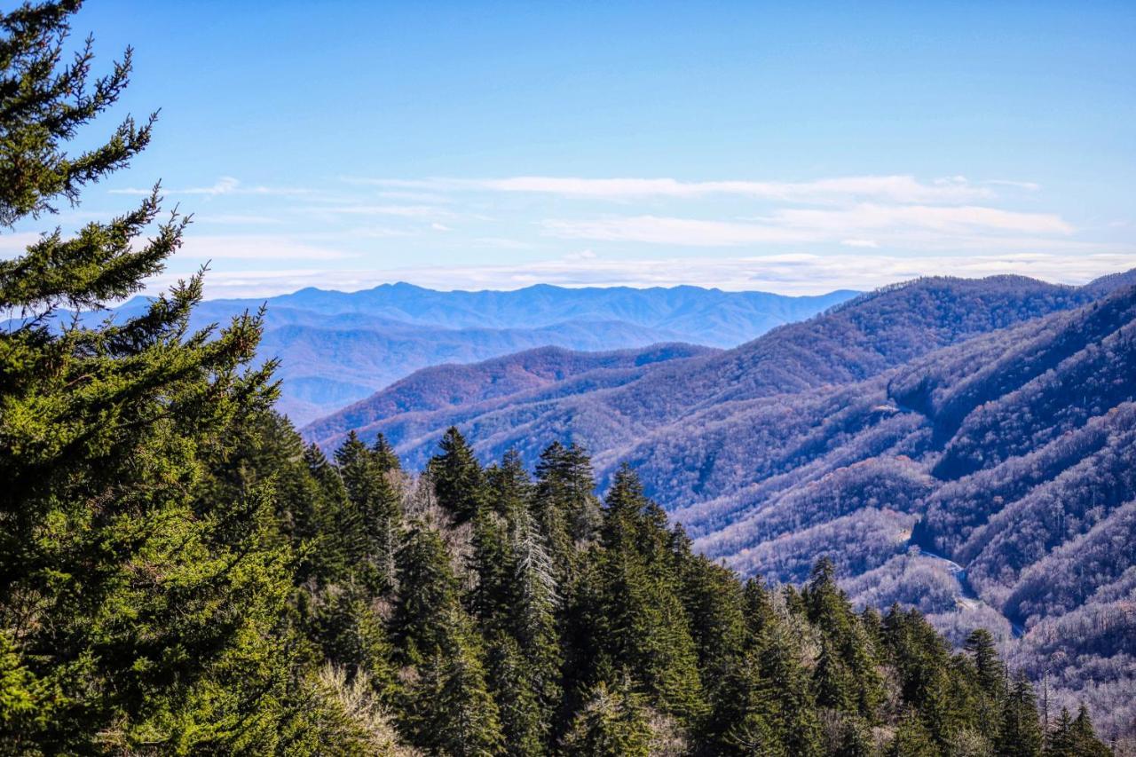Holly Berry Villa Pigeon Forge Kültér fotó